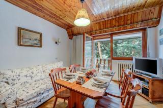 La Tana dello Scoiattolo Skiing nearby - Happy Rentals - 2