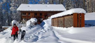 Ferienhaus-Bregenzerwald - 9