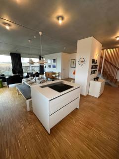 Großzügiges modernes Ferienhaus - 2
