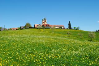 Feldbergblick - 7