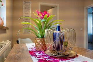 Romantische Fewo Sächs Schweiz - 5