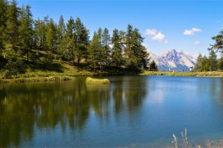 Studio Abete Rosso 500m From Ski - Happy Rentals - 3