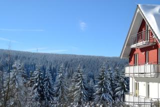 Ferienwohnung Tannenblick 3-3 - Oberhof - 3
