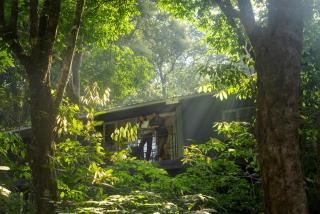 Wayanad Wild - A CGH Earth Experience - 3