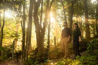 Wayanad Wild - A CGH Earth Experience - Vythiri - 3