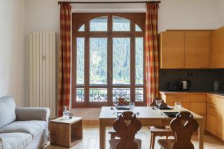 Central Majestic Apartment Near Skiing - Happy Rentals - 1