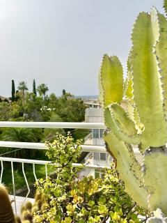 Attico Flaminia - 5