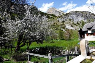 Il Nido di Elda few steps from skiing - Happy Rentals - Bardonecchia - 5