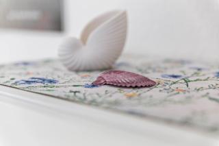 Nordhaus Ferienwohnung 2 - 7