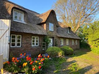 Ferienwohnung Reettraum - 4