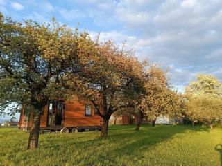 Mobile Tinyhouse by Wolfsberger - 8