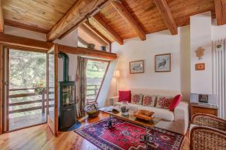 Romito Lodge Apartment Mountain Retreat - Happy Rentals - 8