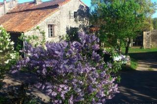 Maison Larzac Cevennes Grand Gite - 9
