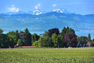 Dinkelbach Traumblick 3 B - 7