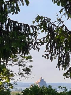 Au Mont D'en Face - Les Hortensias - 3