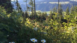 Schladming Planai Mitte - 4