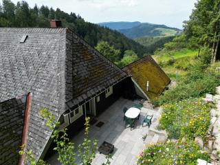 Schwarzwald Chalet - Karlshütte - 0