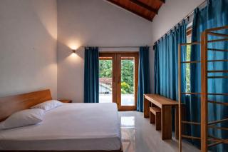 Parrot Paradise Negombo - Negombo - 1