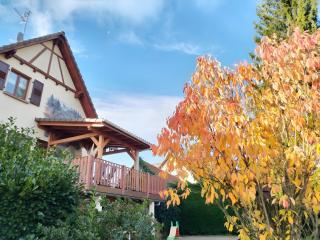 Chambres D'hôtes - Suite Pampas - 5