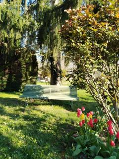 Chambres D'hôtes - Suite Pampas - 2