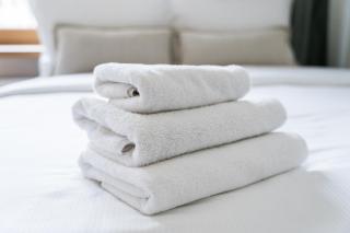 Wilson Park Modern Studio by BookingHost - 3