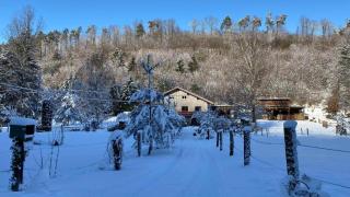 Le petit Sabotier - 1