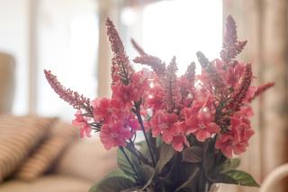 Casa Vacacional con Encanto - 4