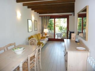 Hermitage Mimosa - 3