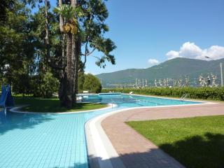 Hermitage Mimosa - 9