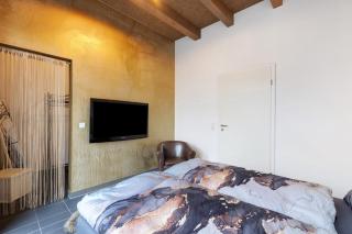 Deluxe Loft Hegau Bodensee - 1