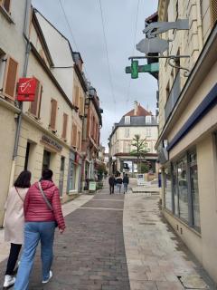 Logement Cosy centre Joigny - 3