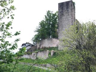 Schwarzwald Glück - 1