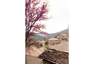 Armoloi Traditional - Guest House - 2