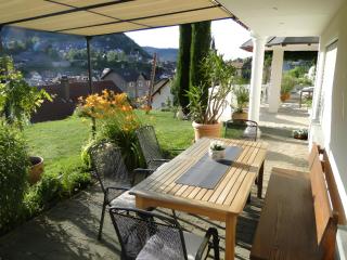 Regina's Gästehaus - Weisenbach - 0