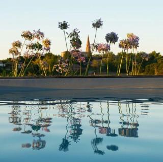 Villa Virginie gite 2 -  - 5