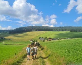 Ferienwohnungen Wendelhof - 8