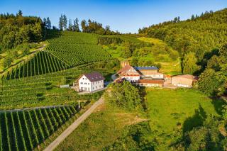 Paradieshof - Lautenbach - 5