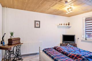 Fewo zum Huberts Schweinchen - Frankenhain - 1