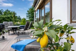 Ferienwohnung Köberich - 8