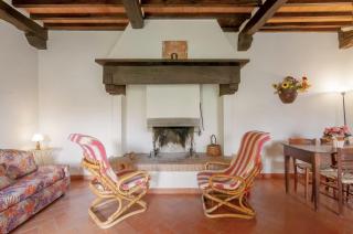 Universal Harmony - Capinera - 3