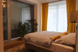 č7 Všehrdovo náměstí 9 - 5