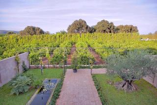 Son Puca 1 - Búger - 1