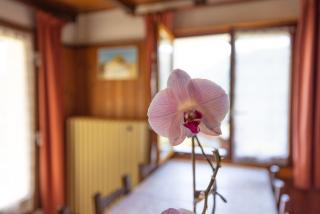 La rose des vents N 2 - 6