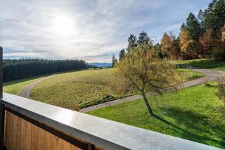 Café Pension Pfaus 1 fewo-4 Zimmer - Mühlenbach - 9