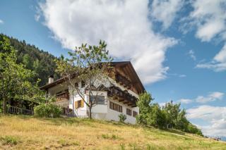 Woehrmannhof Apt Birnblüte - 1