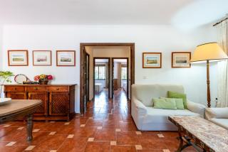 New House in Malaga Nature - 1