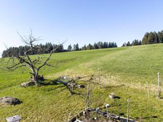 Haus Sonnenhang Wohnung 2 - 1