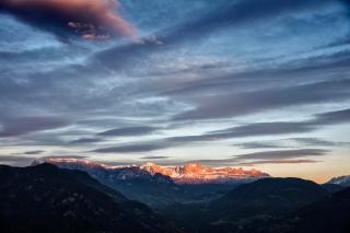 Wernerhof Fewo Rosengarten - 9