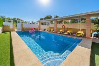 Estrella de mar azul - 9