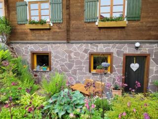 Blick in den Garten - 1